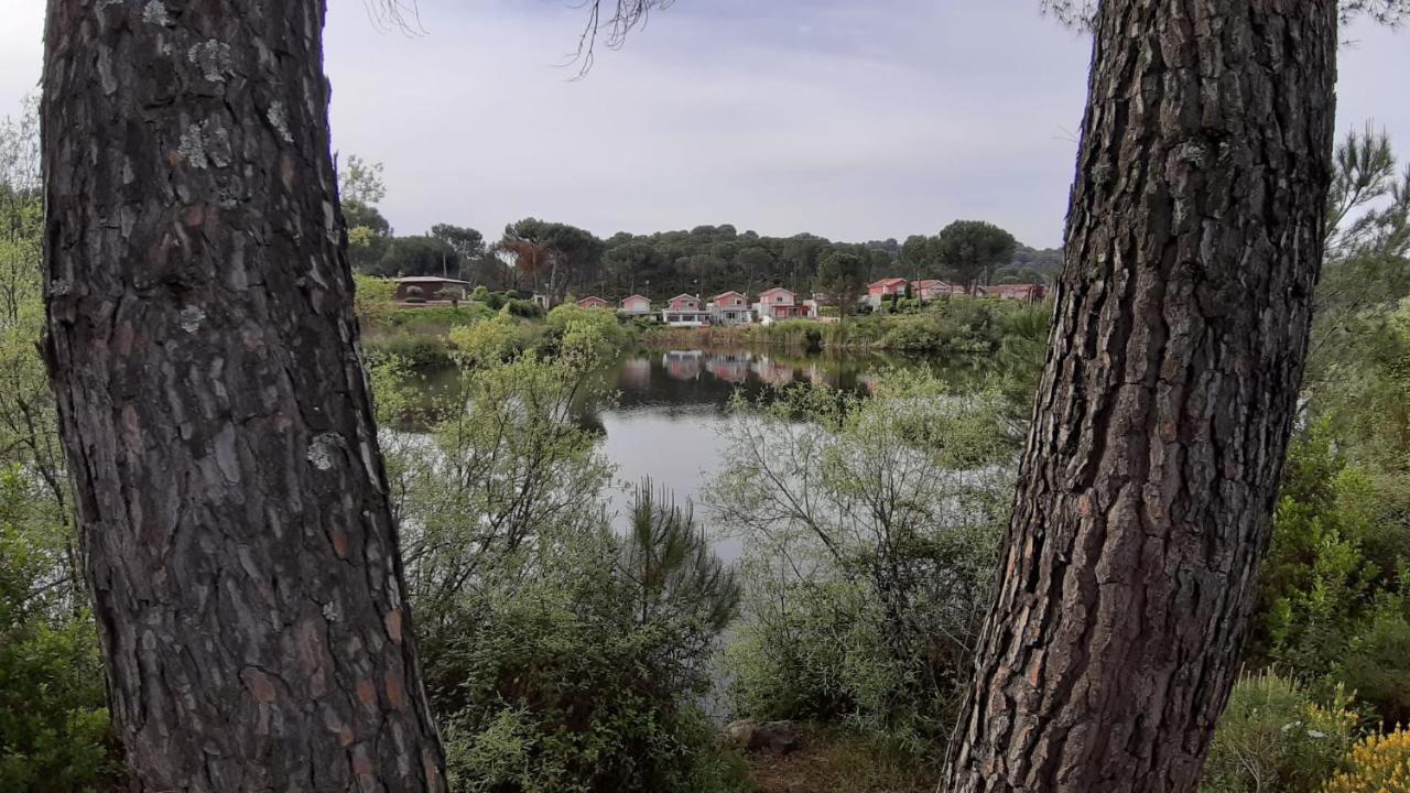 فيلا قرطبةفي El Pinar Del Coto المظهر الخارجي الصورة